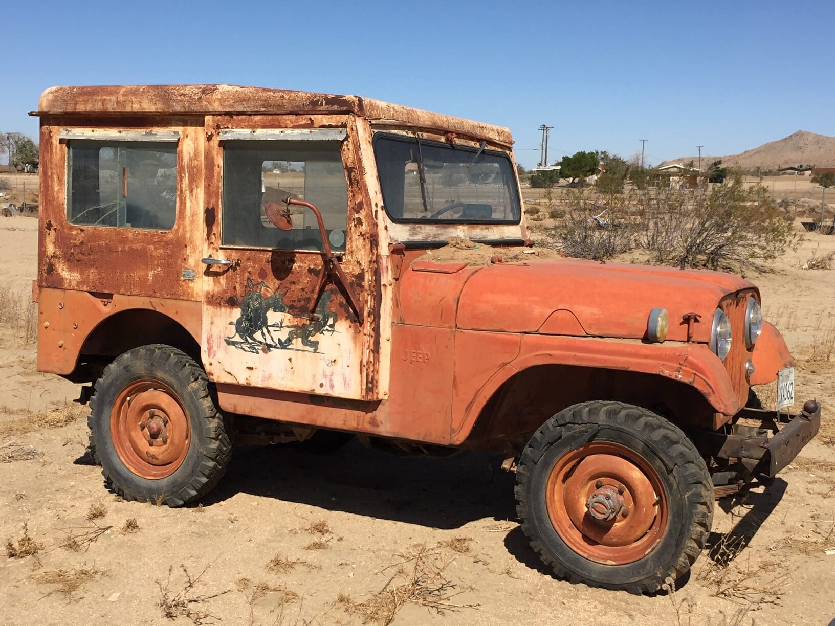 1953 Jeep CJ5