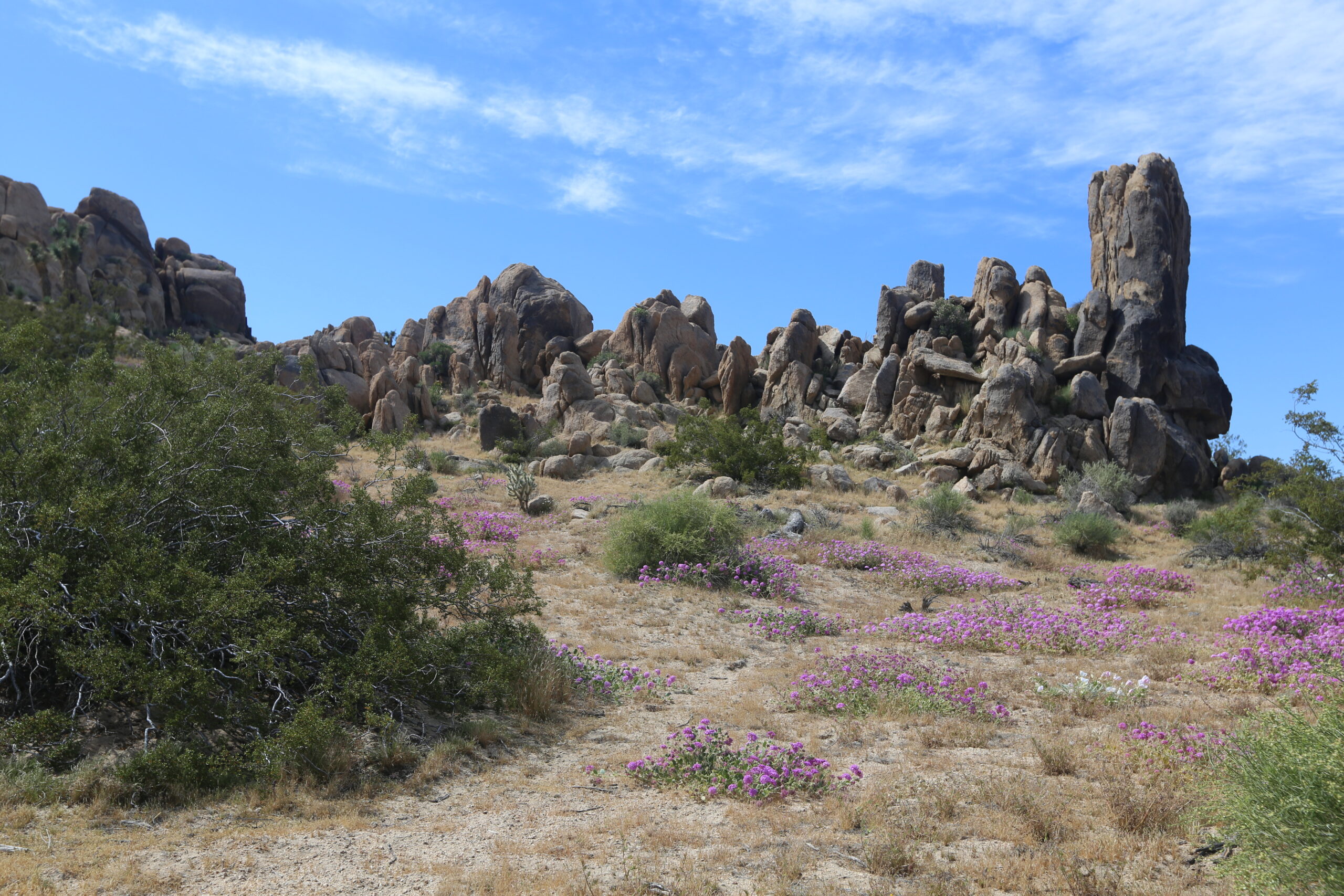 Danger Rock (1)