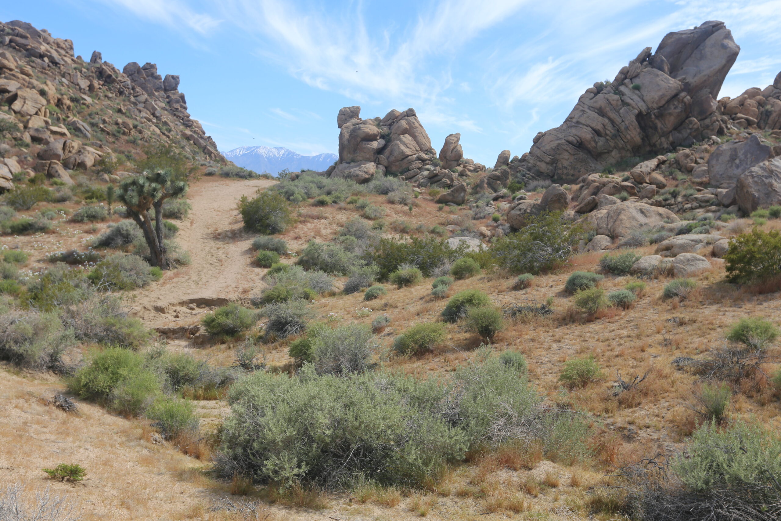 North Pass (5)