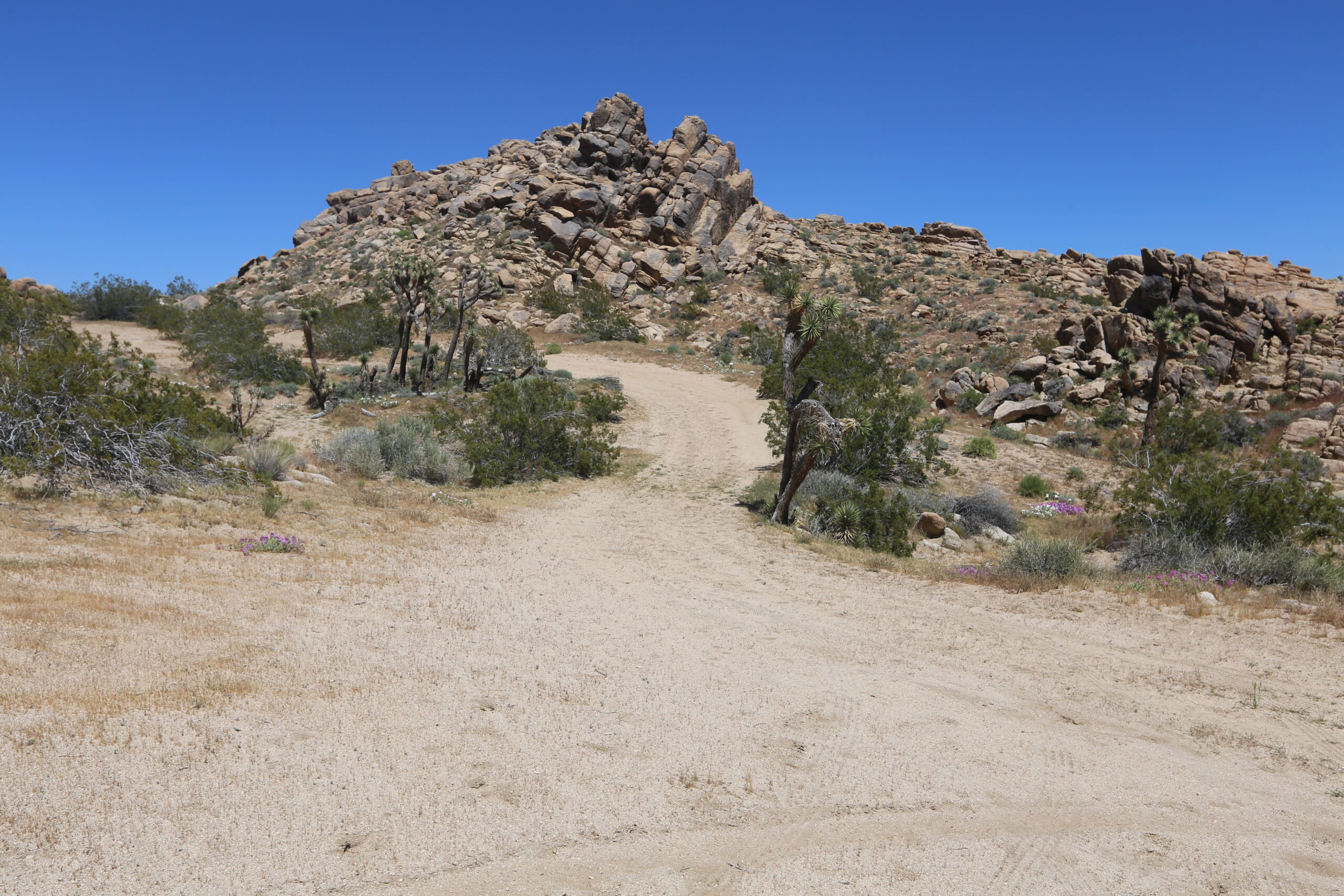Pass Road (8)