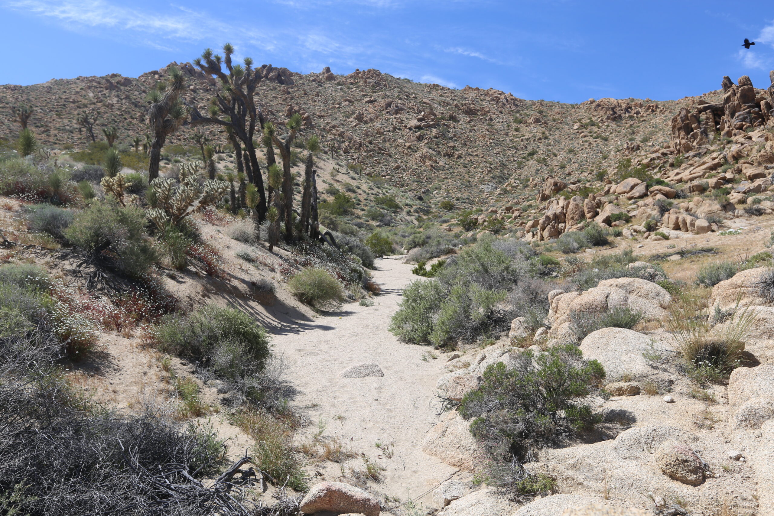 West Range (13)